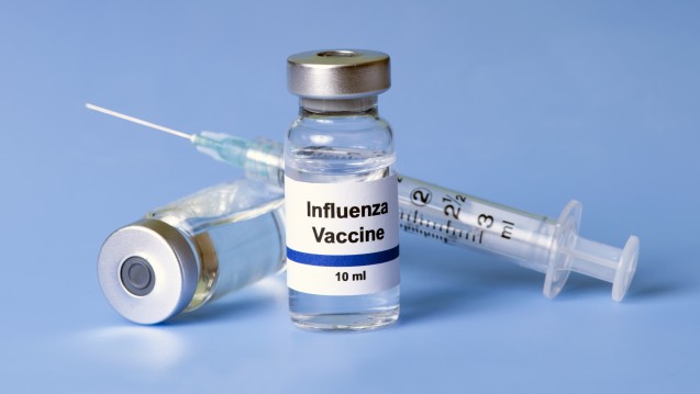 Grippesaison 2017/18: Die Vierfachimpfung schützt am besten vor dem aktuell vorherrschenden Grippevirus. (Foto: Sherry Young / stock.adobe.com)