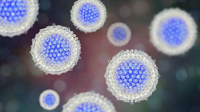 44.700 US-Amerikaner infizierten sich Schätzungen zufolge 2017 mit dem Hepatitis-C-Virus. Nach einer jahrzehntelangen chronischen Infektion kann es die Leber zerstören oder Leber­krebs verursachen. (m / Foto: imago images / Science Photo Library)