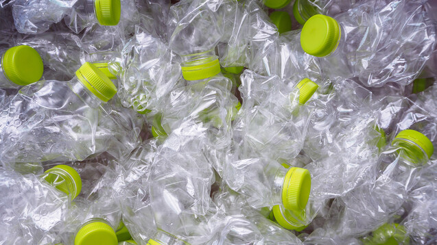 Alle Teilnehmer tranken aus PET-Flaschen. Ein Zusammenhang zwischen dem Ernährungsverhalten und einer Belastung mit Mikroplastik konnten die Wissenschaftler aufgrund der kleinen Probandengruppe nicht herstellen. (Foto: Kwangmoo / stock.adoeb.com)