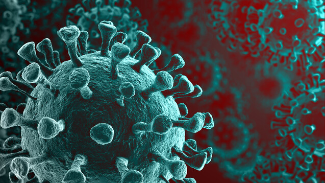 Artenschranken bei Virusinfektionen:&nbsp;Wie könnten Wirtszellen Coronaviren abwehren? (Foto: creativeneko / stock.adobe.com)