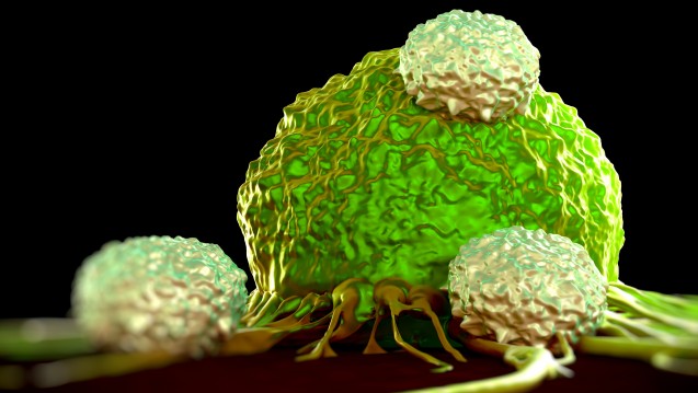 CAR-T-Therapien sollen das Immunsystem zur Bekämpfung von Krebszellen nutzen. (Foto: royaltystockphoto / Fotolia)