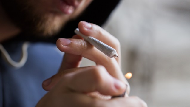 Die Bundesregierung will den Cannabis-Konsum stärker eindämmen. (Foto: Syda Production / stock.adobe.com)