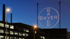 Bayer will die Organisation straffen und ein Sparprogramm in mehreren Sparten starten. (m / Foto: Bayer)
