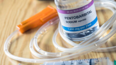 Bei Natrium-Pentobarbital handelt es sich um mittellang wirkendes Barbiturat. (Foto: Felipe Caparrós/AdobeStock)
