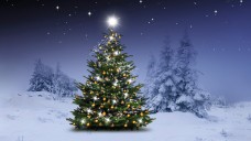 „Am Weihnachtsbaum die Lichter brennen, wie glänzt er festlich, lieb und mild...“ (Foto: by-studio / stock.adobe.com)