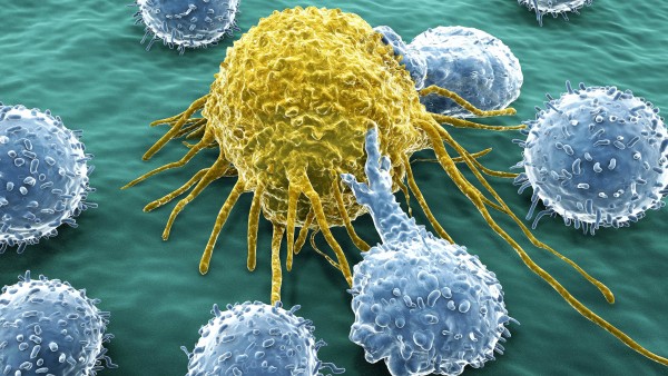 Immun-Onkologie im Visier der Pharmakonzerne