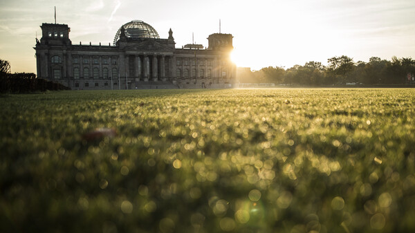 Bundestag steht vor wichtiger Entscheidung zur Organspende