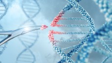 Die CRISPR-Cas9-Technik gilt als eine der präzisesten zur Modifikation der DNA und als Revolution in der Gentechnik. (Foto: natali_mis / stock.adobe.com)