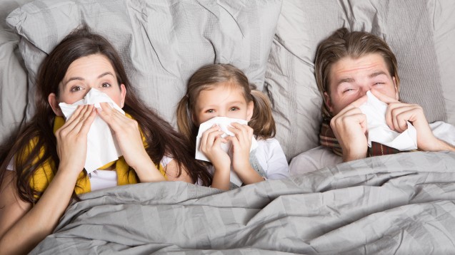 Wie sieht die aktuelle Grippelage in Deutschland aus? Herrscht offiziell eine „Grippewelle"? (drubig-photo / stock.adobe.com)