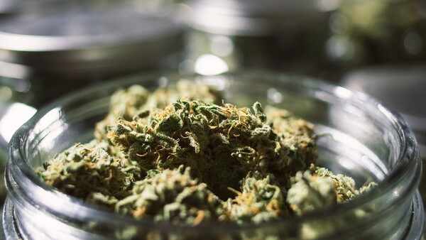 Wann muss die Kasse die Cannabisversorgung genehmigen?