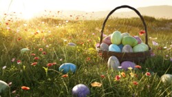 Bemalte, hartgekochte Eier sind ein Klassiker zu Ostern. (Foto:&nbsp;lassedesignen/AdobeStock)