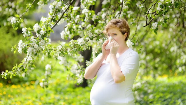 Sind Cortison-Nasensprays in der Schwangerschaft sicher? (x / Foto:&nbsp;Maria Sbytova / AdobeStock)