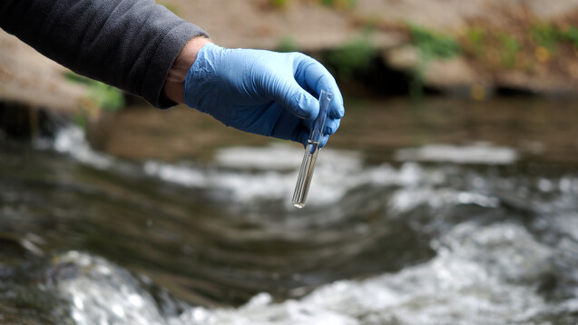 Wer soll die Technologien, mit denen Mikroschadstoffe aus dem Abwasser geklär werden könnten, bezahlen? (Foto: kozorog / stock.adobe.com)