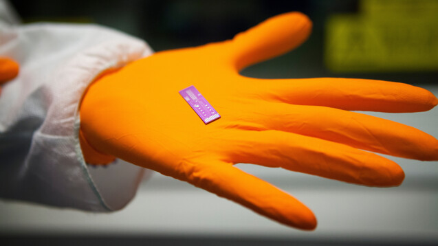 Nanotechnologie-Biosensorik-Grippe-und-andere-Antik-rper-per-Chip-nachweisen