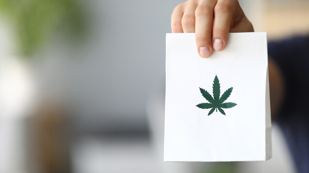 Welches Cannabispräparat eignet sich für welchen Patienten? Dr. Dominik Bauer berät Cannabispatienten in seiner Apotheke und erzählt DAZ.online davon. &nbsp;(Foto:&nbsp;H_Ko / stock.adobe.com)