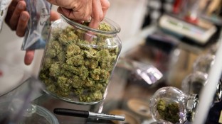 Bundestag debattiert über Cannabis-Verbot