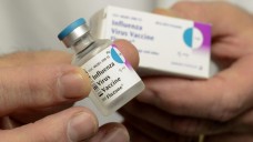 Der Grippe-Impfstoff wird jedes Jahr an die jeweils aktuellen Virus-Varianten angepasst. (Foto: dpa)