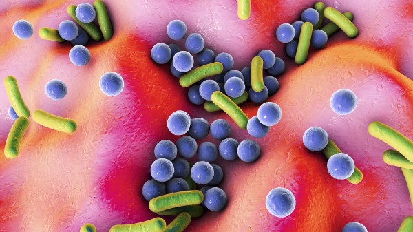 Schädlich für die Mikrobiom-Entwicklung?
