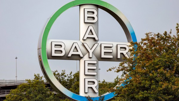 Bayer erhöht Dividende erneut