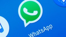 LAV-Mitglieder können kostenlos den WhatsApp-Dienst ihres Verbandes nutzen. (Foto: picture alliance / dpa Themendienst)