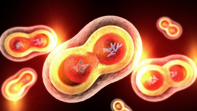 Die Mitochondrien-DNA (mtDNA) ist normalerweise in den Kraftwerken menschlicher Zellen eingeschlossen. Bei Zellschäden, etwa durch eine Sepsis, kann sie jedoch ins Blut gelangen. (Foto: Christoph Burgstedt / Fotolia)