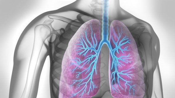 Neuer Asthma-Antikörper Benralizumab erhält Zulassung