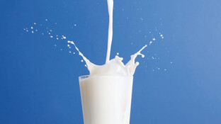 Milchzucker – ein Enzym sorgt für Toleranz