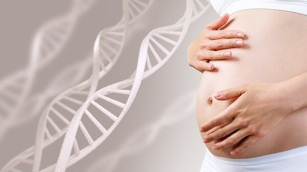 Rät Embryotox zum Schwangerschaftsabbruch?