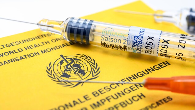 In Baden-Württemberg fordern die AOK, Ärzte und Apotheker Konsequenzen aus den derzeitigen Versorgungsengpässen bei Grippeimpfstoffen. (c / Foto: imago)