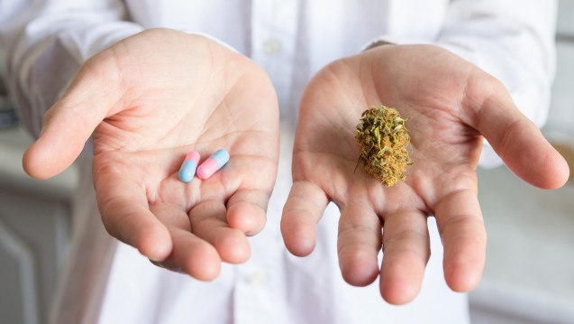 in der CaPRis-Studie des Bundesgesundheitsministeriums geht es sowohl um die Risiken als auch um den medizinischen Nutzen von Cannabis. (Bild: eight8 / stock.adobe.com)