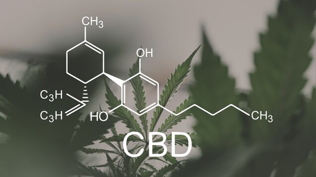 CBD ist ein Hauptcannabinoid vieler Cannabissorten. Es ist im Gegensatz zu THC nicht psychoaktiv und fällt auch nicht unter das Betäubungsmittelgesetz. (Foto: cendeced/stock.adobe.com)