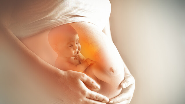 Sollte nicht die Pharmaindustrie für Daten zur Arzneimittelsicherheit in der Schwangerschaft sorgen? (m / Foto: Zffoto/ stock.adobe.com)