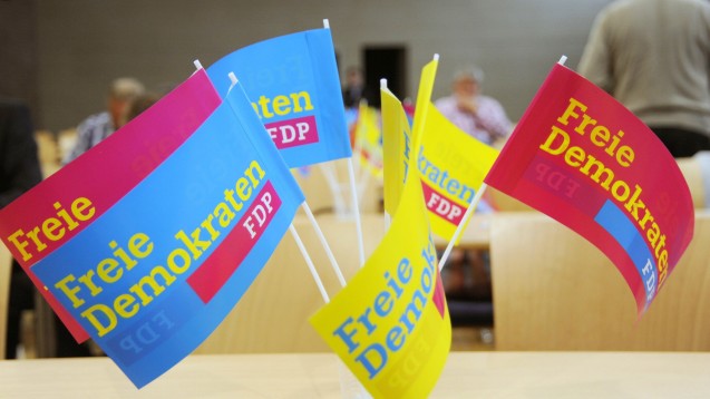 Die Diskussionen um die Folgen des EuGH-Urteils auf dem FDP-Bundesparteitag könnten spannend werden. (Foto: dpa)