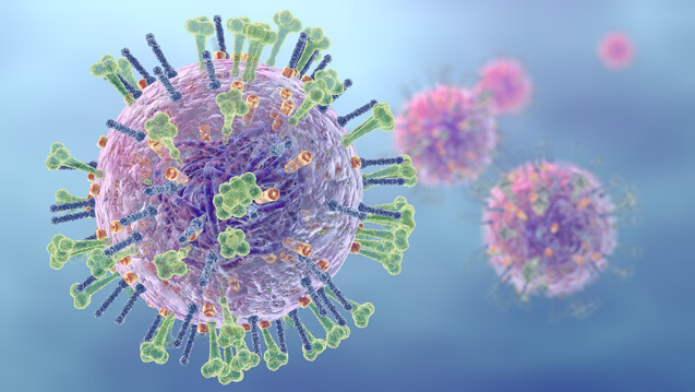 Zwei neue Influenza-A-Stämme enthält die Grippevakzine 2021/22. Bei den Influenza B-Stämmen blieb die WHO bei den Stämmen der aktuellen Grippesaison. (Foto:&nbsp;Axel Kock / stock.adobe.com)