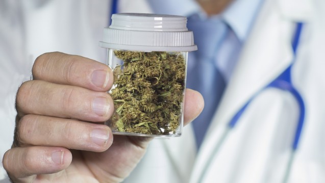 Eine aktuelle Umfrage zeigt, dass jeder zweite Arzt eine Cannabis-Freigabe befürwortet. (Bld: Michael / stock.adobe.com)