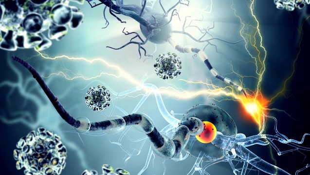 Symbolbild: Die multiple Sklerose ist geprägt durch entzündliche und neurodegenerative Veränderungen, die bereits im Frühstadium der Erkrankung eine axonale Schädigung zur Folge haben können. (Foto: ralwel / stock.adobe.com)   