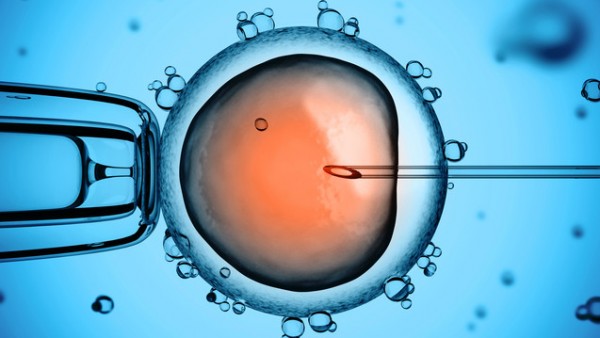 Erstes „Drei-Eltern-Baby“ nach neuem Gen-Eingriff geboren