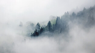 Die Welt im Nebel