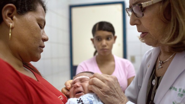Zika in Gehirnen von Babys nachgewiesen