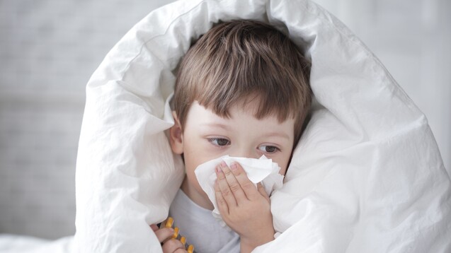 Bleibt die Influenzaaktivität auch in der aktuellen Woche erhöht, hat die Grippewelle schon begonnen, das meldet das RKI. Influenza A-Viren dominieren bislang, Säuglinge trifft vor allem Influenza A(H1N1), Kindergartenkinder vorwiegend Influenza A(H3N2). (Foto.&nbsp;Chepko Dani / stock.adobe.com)