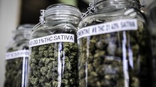 Wie lässt sich ein gutes und sicheres Nebeneinander von Medizinal-Cannabis und Genusscannabis erreichen? &nbsp;(Foto: IMAGO / ZUMA Wire)
