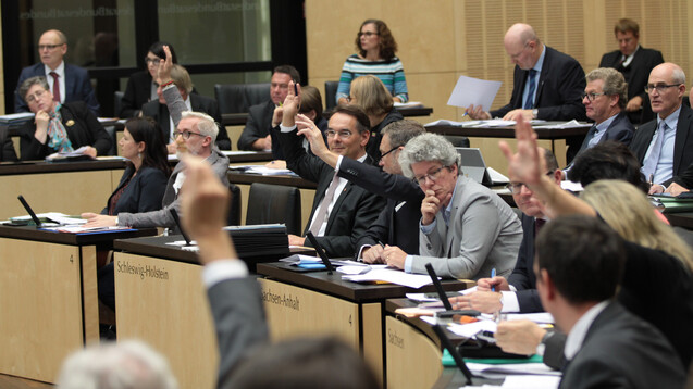 Im Bundesrat wurde heute unter anderem über die Empfehlungen der Ausschüsse zur PTA-Reform abgestimmt. (Foto: Bundesrat / Frank Bräuer)
