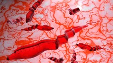 Der Parasit Trypanosoma brucei ist der Übeltäter hinter der Schlafkrankheit. Die EMA empfiehlt nun die Zulassung eines neuen oralen Arzneimittels: Fexinidazol. (Foto: fotovapl / stock.adobe.com)