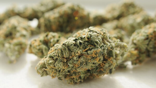 Medizinalcannabis: Sonder-PZN jetzt auch fürs E-Rezept zugelassen