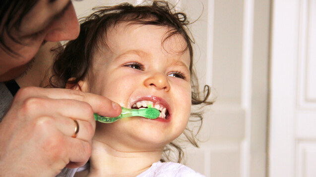 Regelmäßiges Zähneputzen kann Kreidezähne nicht verhindern, da die Zähne bereits geschädigt durchbrechen. (s / Foto: luuuusa / AdobeStock)