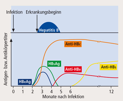 11_ck_Hepatitis_Heinz.pdf