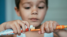 Spätestens ab dem 1. Geburtstag sollte fluoridhaltige Zahnpasta zum Einsatz kommen. (Foto: LIGHTFIELD STUDIOS / AdobeStock)&nbsp;