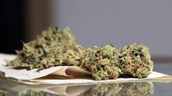 UN-Suchtstoffkontrollrat sorgt sich um Regulierung von medizinischem Cannabis 