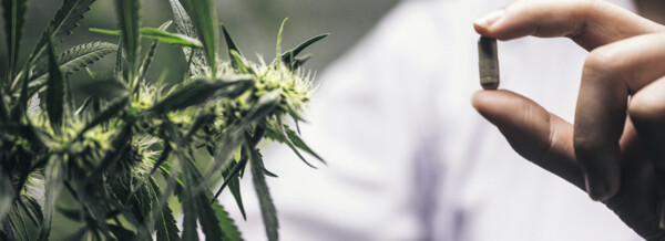 Wo bleiben die Cannabis-Fertigarzneimittel?