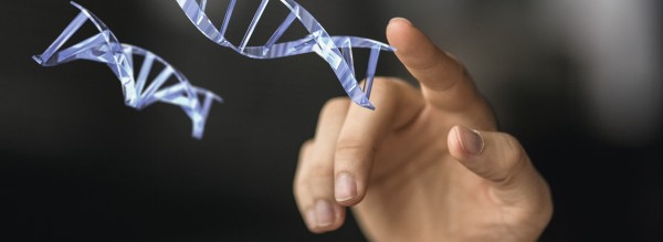 Genom-Editierung mit CRISPR-Cas9